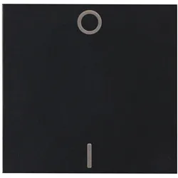 Kopp 491950008 HK07-Flächenwippe 2-polig Farbe:schwarz matt