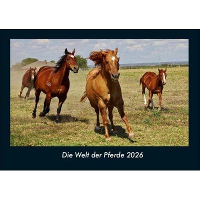 Die Welt der Pferde 2026 Fotokalender DIN A4