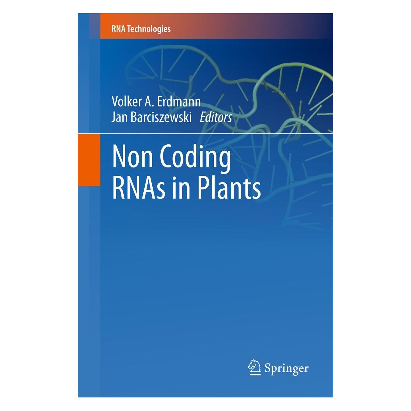 Springer Non Coding RNAs in Plants (Englisch, Hardcover, Jan Barciszewski, Volker A. Erdmann) (9783642194535)