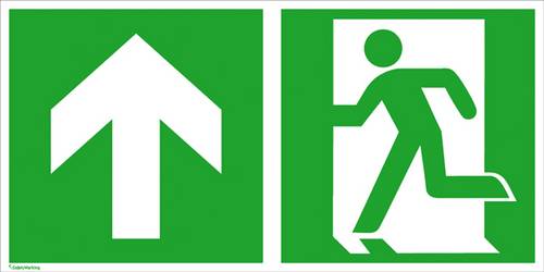 SafetyMarking Fluchtwegschild Aluminium Notausgang links, Richtungsangabe aufwärts, geradeaus 15.3025 (B x H) 300mm x 150mm ISO