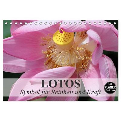 Lotos. Symbol für Reinheit und Kraft (Tischkalender 2026 DIN A5 quer), CALVENDO Monatskalender