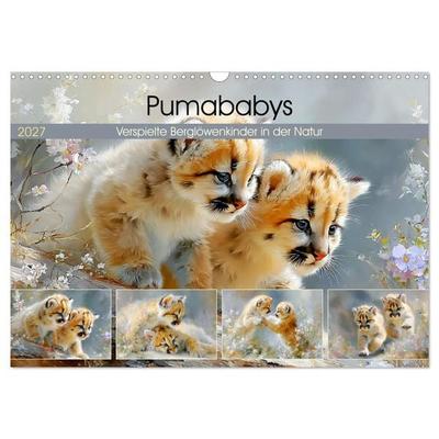 Pumababys. Verspielte Berglöwenkinder in der Natur (Wandkalender 2027 DIN A3 quer), CALVENDO Monatskalender