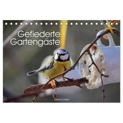 Gefiederte Gartengäste (Tischkalender 2027 DIN A5 quer), CALVENDO Monatskalender