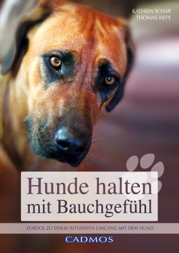 Kathrin Schar - Hunde halten mit Bauchgefühl: Zurück zu einem intuitiven Umgang mit dem Hund - Preis vom 09.10.2026 07:28:09 h