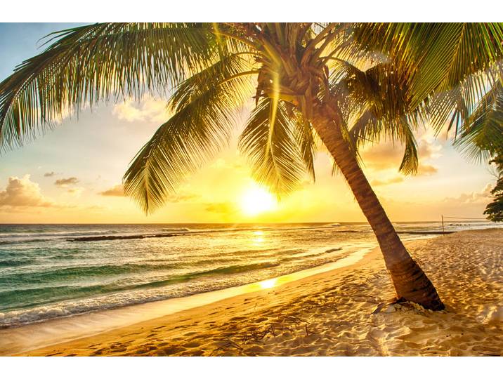 Fototapete PAPERMOON Barbados Palm Beach , bunt, B:1,5m L:1,11m, Vlies, Tapeten, Fototapete