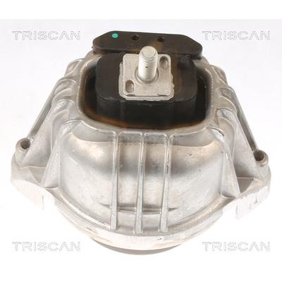 TRISCAN Lagerung, Motor 850511106 für BMW