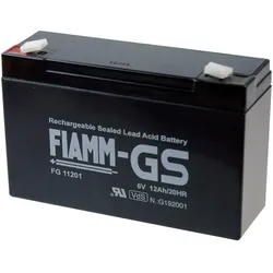 Fiamm FG11201 (1 Stk., Gerätespezifisch, 12000 mAh), Batterien + Akkus