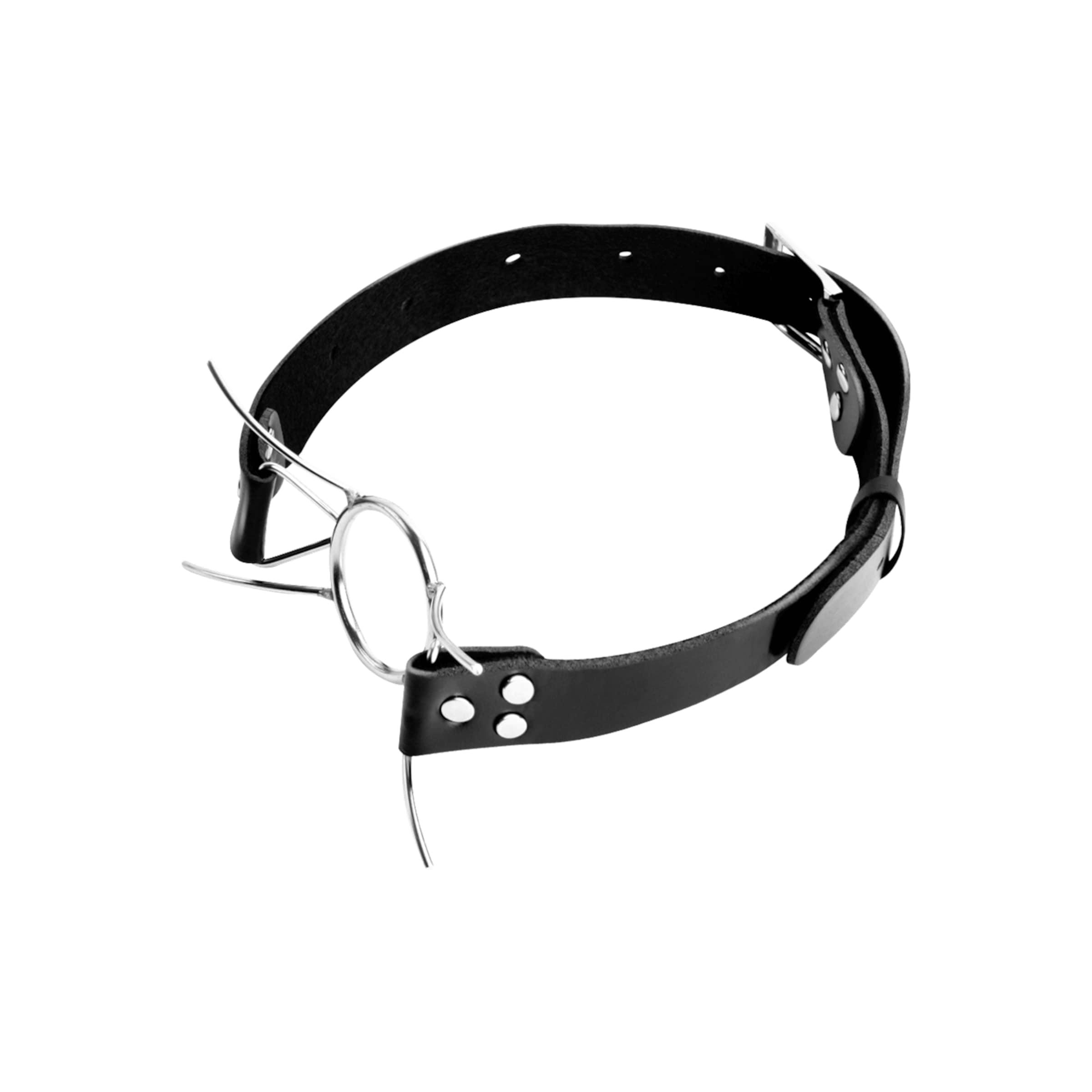 Spider Gag