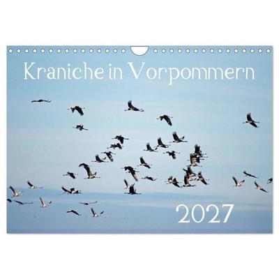 Kraniche in Vorpommern (Wandkalender 2027 DIN A4 quer), CALVENDO Monatskalender