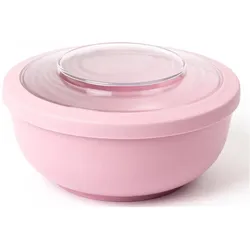 Amuse Schüssel Life Dinner, Lunchbox, Violett, Pink
