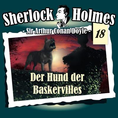 Der Hund der Baskervilles - Arthur Conan Doyle, Audio, 4260507138453