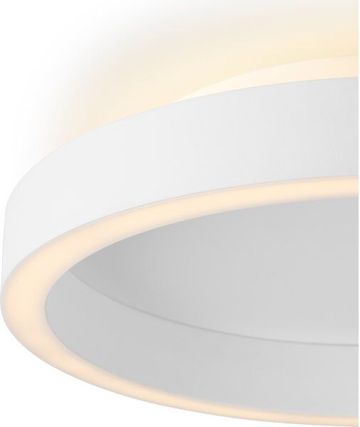 Halo Design Blacklight Plafond String Ø30 Cm, Hvid