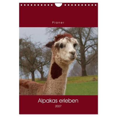 Alpakas erleben (Wandkalender 2027 DIN A4 hoch), CALVENDO Monatskalender