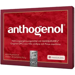 ANTHOGENOL Masquelier OPC Kapseln 9,6 g