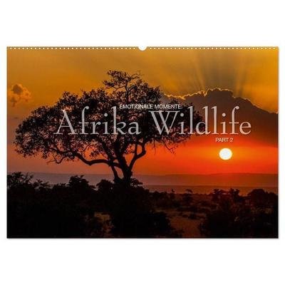 Emotionale Momente: Afrika Wildlife Part 2 / CH-Version (Wandkalender 2026 DIN A2 quer), CALVENDO Monatskalender