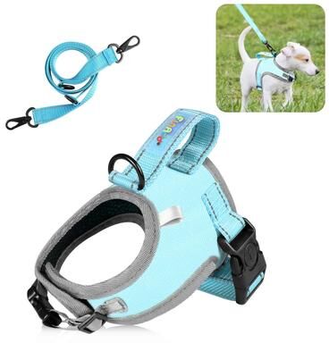 United FunAdd Reflective Dog Harness Breathable Adjustable No Pull Pet Vest With Leash blue s