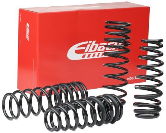 EIBACH E10-40-008-03-22 Suspension kit, coil springs