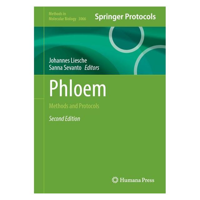 Springer Phloem (Englisch, Hardcover, Johannes Liesche, Sanna Sevanto) (70885585)