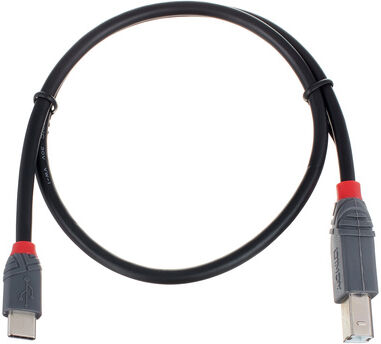 Lindy 0,5 m USB 2.0 Typ C/B Anthra Noir