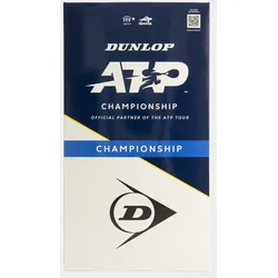 Dunlop ATP CHAMPIONSHIP 2x4PET CARTONETTE