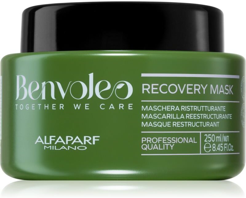 Alfaparf Milano Benvoleo Recovery masque régénérateur intense pour cheveux abîmés 250 ml