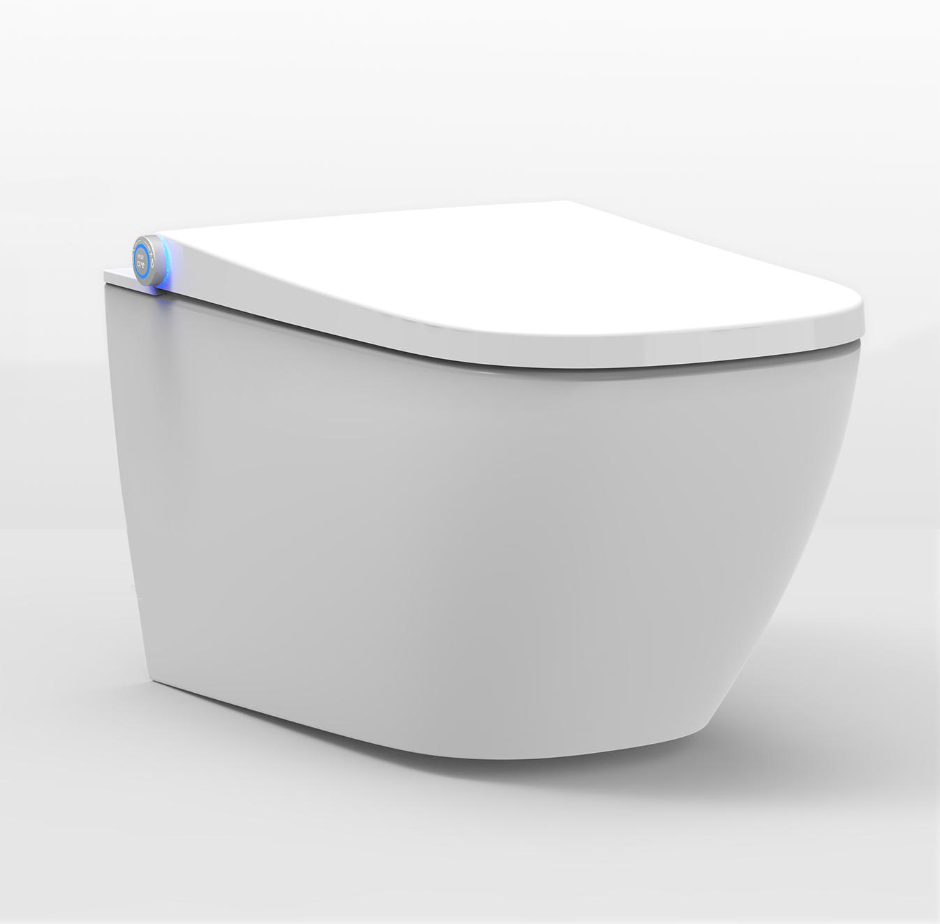 Dusch-WC Basic 1104 Weiß - Gesäß- und Ladydusche - Komplettanlage