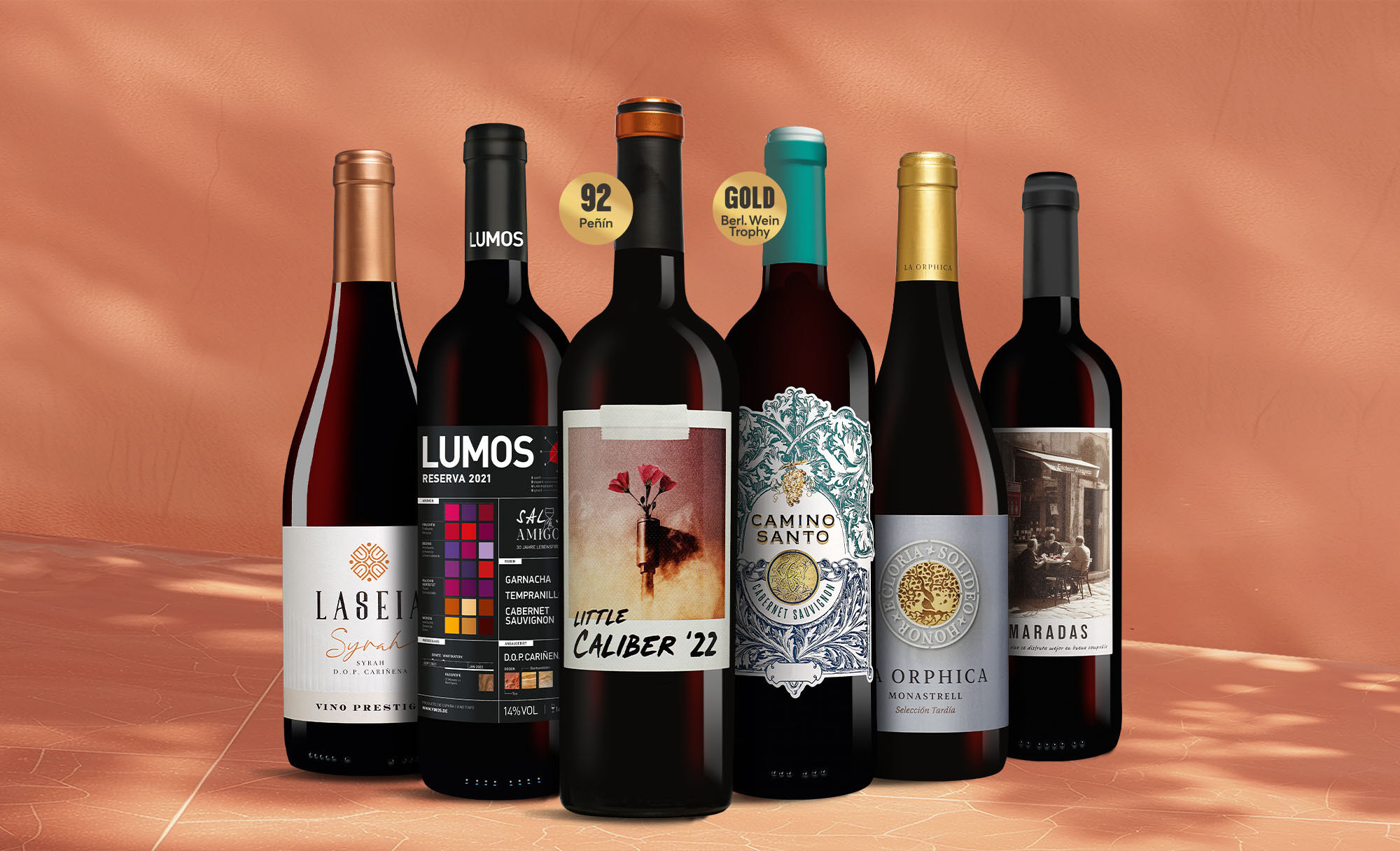 Tinto-Favoriten Weinpaket  aus Spanien