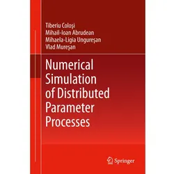 Numerical Simulation of Distributed Parameter Processes, Fachbücher von Mihaela-Ligia Unguresan, Mihail-Ioan Abrudean, Vlad Muresan, Tiberiu Colosi