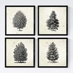 POSTER Set mit 4 Blättern der Hohe Bäume Jahrgang Hintergrund 20x20cm Schwarzer Rahmen