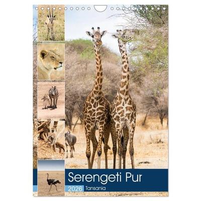Serengeti Pur - Tansania (Wandkalender 2026 DIN A4 hoch), CALVENDO Monatskalender