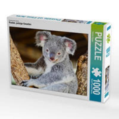 CALVENDO Puzzle Koalas, putzige Gesellen 1000 Teile Lege-Größe 64 x 48 cm Foto-Puzzle Bild von Robert Styppa