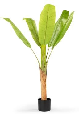 Enova Home Realistic Artificial Banana Tree in Nursery Pot for Indoor and Outdoor Decoration