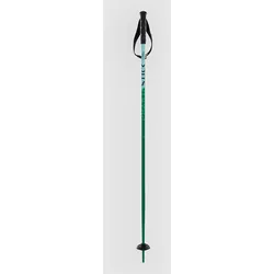 Völkl Phantastick Jr Poles 2025 Skistöcke green Gr. 100