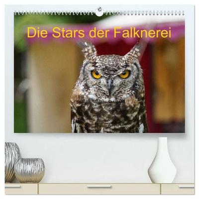Die Stars der Falknerei (hochwertiger Premium Wandkalender 2027 DIN A2 quer), Kunstdruck in Hochglanz