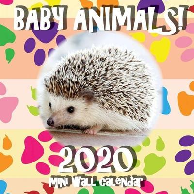Baby Animals! 2020 Mini Wall Calendar, Taschenbuch von Sea Wall, Sea Wall, 978-1-64252-517-5