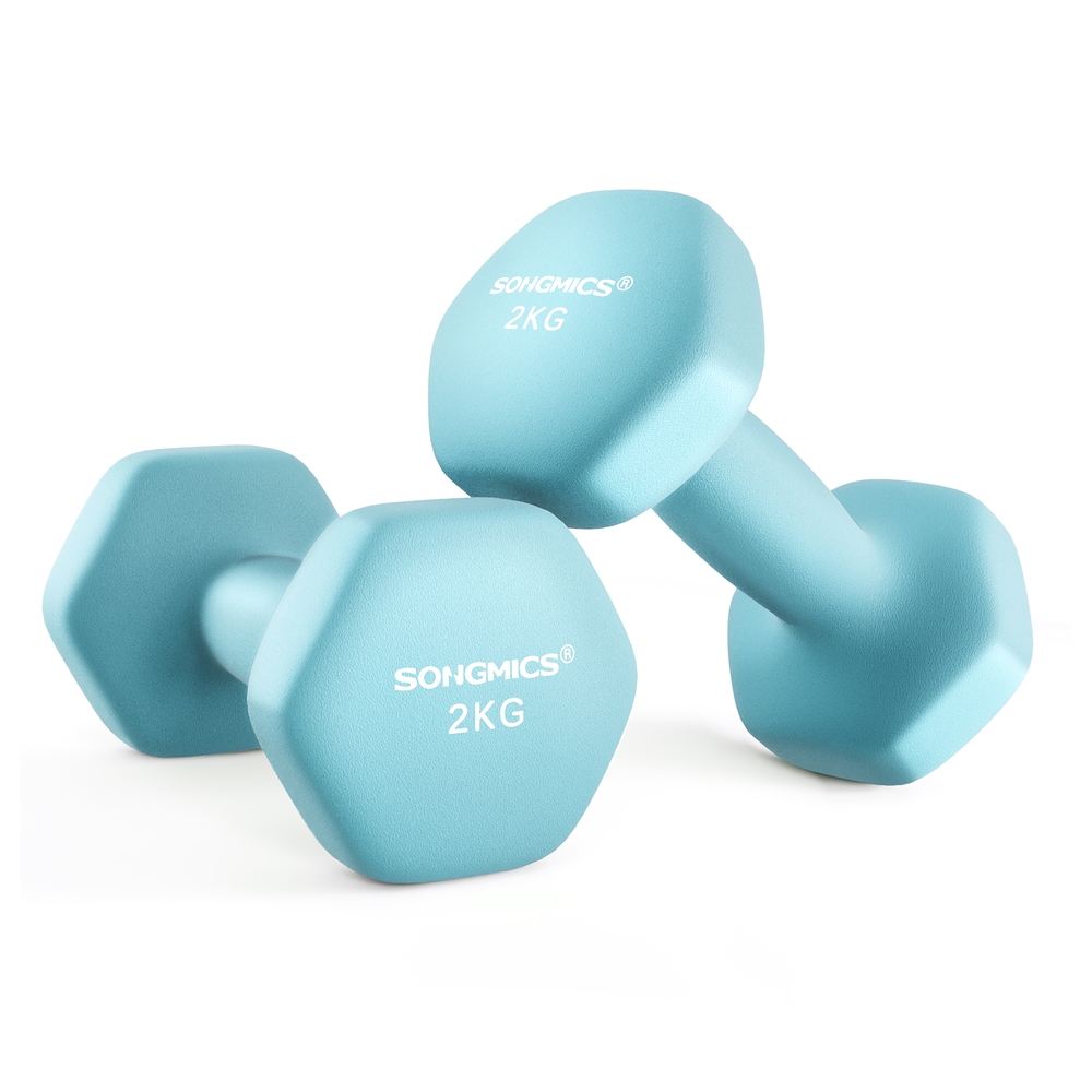 SONGMICS Kurzhanteln 2er-Set türkis B34SYL904Q01