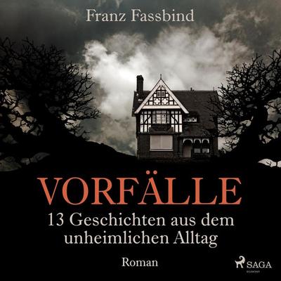 Vorfälle. 13 Geschichten aus dem unheimlichen Alltag (Ungekürzt) - Franz Fassbind, Audio, 9788711757505