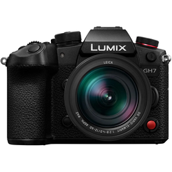 Panasonic Lumix DC-GH7 + Leica 12-60 + G 100-300mm f4.0-5.6 II OIS