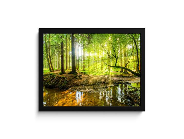 MuchoWow Poster MIT Rahmengerahmtes Bild - Wald - Landschaft - Wasser - Bäume - Sonne - Grün - Natur - 40x30 cm, Papier, Rechteckig, 40x30 cm, gerahmt, Bilder & Rahmen, Bilder