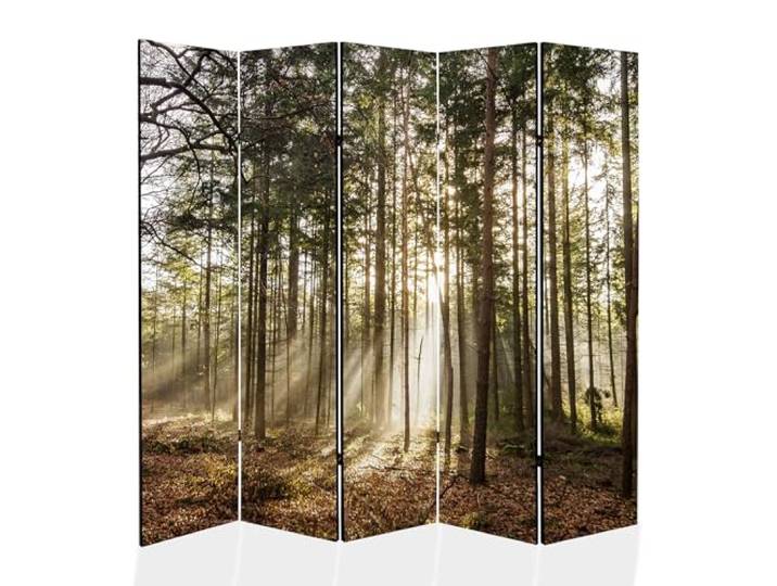 framed concept - Paravent Raumteiler Holz 225x172 cm, 5-teilig beidseitig, Sichtschutzwand