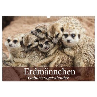 Erdmännchen (Wandkalender 2027 DIN A3 quer), CALVENDO Monatskalender
