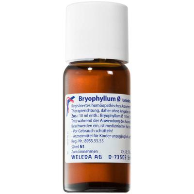 Bryophyllum Urtinktur 50 ml Dilution