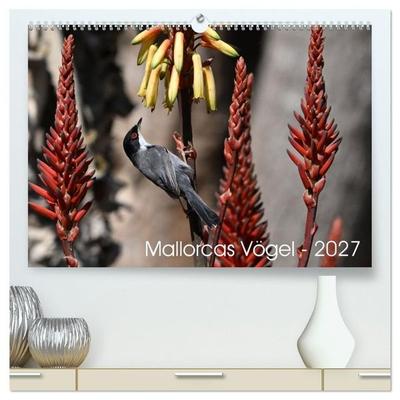 Mallorcas Vögel (hochwertiger Premium Wandkalender 2027 DIN A2 quer), Kunstdruck in Hochglanz