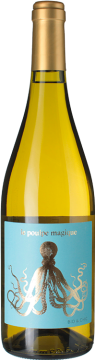 Le Poulpe Magique 2024 - Famille Arbeau - Comté Tolosan - Weisswein - 0.75L Südwest Frankreich