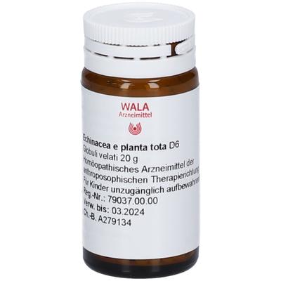 Echinacea E planta tota D 6 Globuli 20 g
