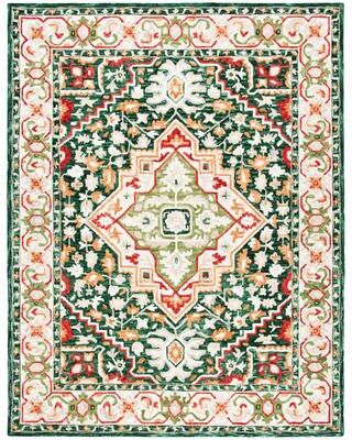 SAFAVIEH Handmade Aspen Constance Boho Wool Rug