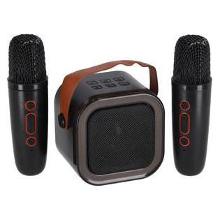 PartyFun Lights Karaoke-Duo-Set 2 Mikrofone + Lautsprecher 13X8X14 Cm (605609)