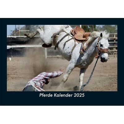 Pferde Kalender 2025 Fotokalender DIN A5