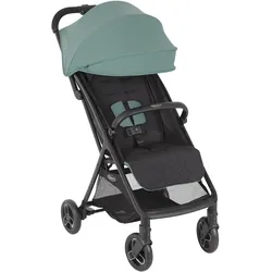 Graco, Kinderwagen, Myavo Mint 2024 (6 Monate - 4 Jahre)