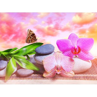 Fototapete PAPERMOON "BLUMEN ABSTRAKT-MUSTER DESIGN SCHMETTERLING BLUME ZEN", bunt, B:4m L:2,6m, Vlies, Tapeten